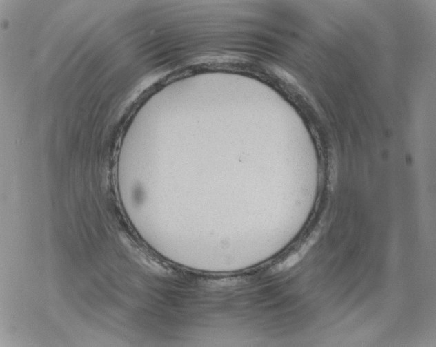 X0000069391017200606091711