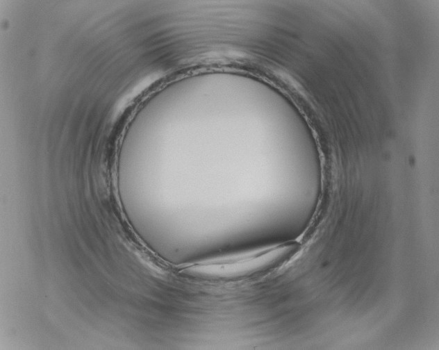 X0000069391018200606091711