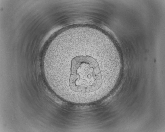 X0000069391019200606091711