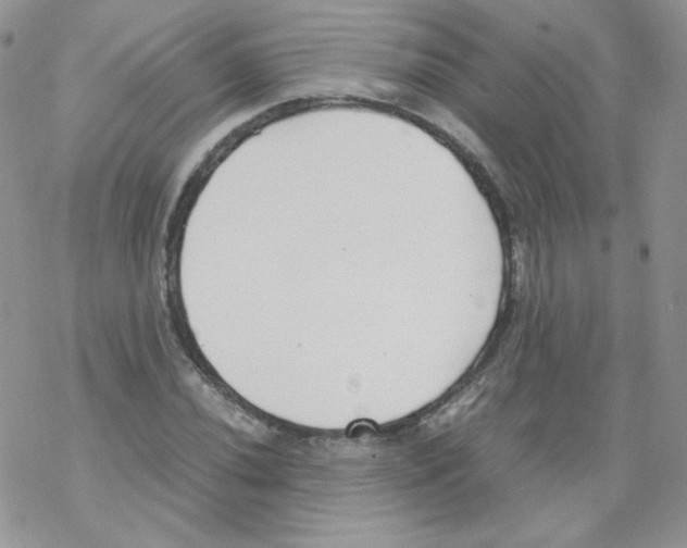 X0000069391020200606091711