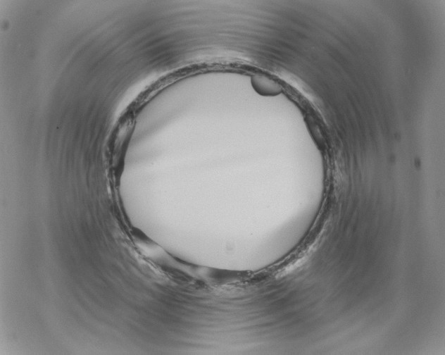 X0000069391022200606091711