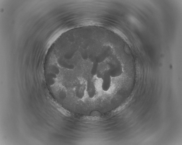 X0000069391023200606091711