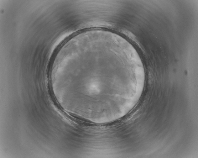 X0000069391024200606091711