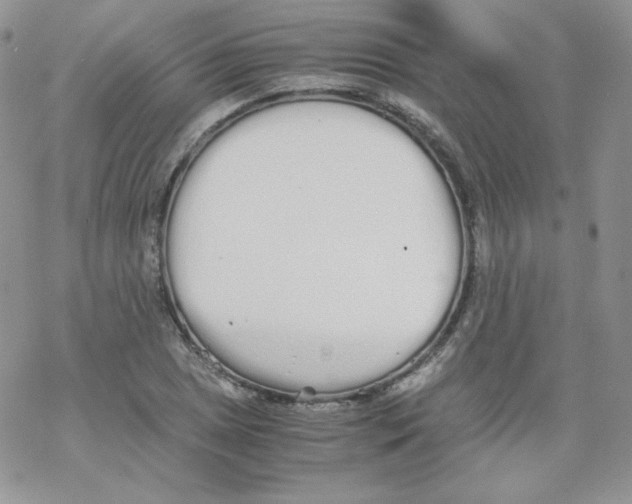 X0000069391025200606091711