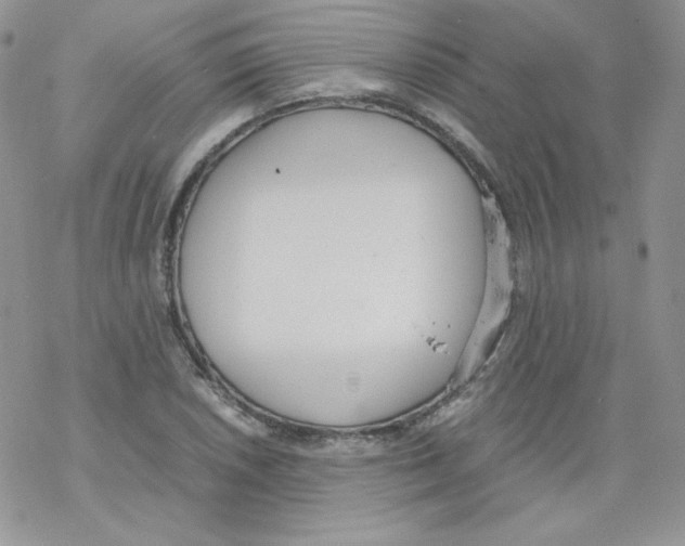 X0000069391026200606091711