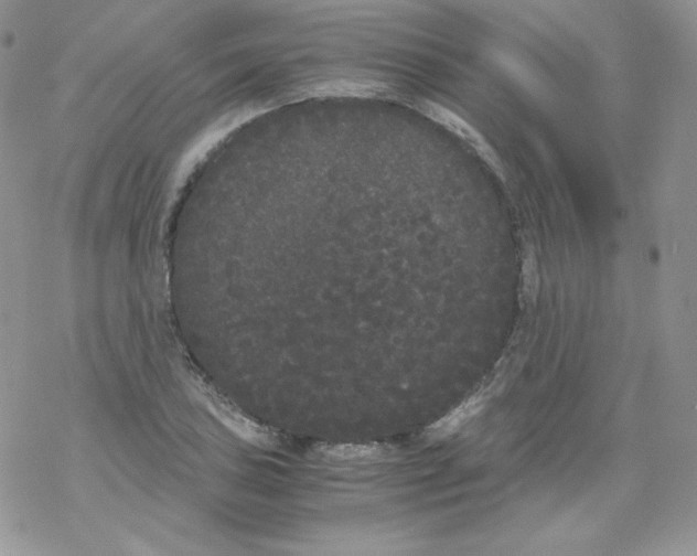 X0000069391027200606091711