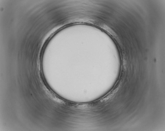 X0000069391028200606091711