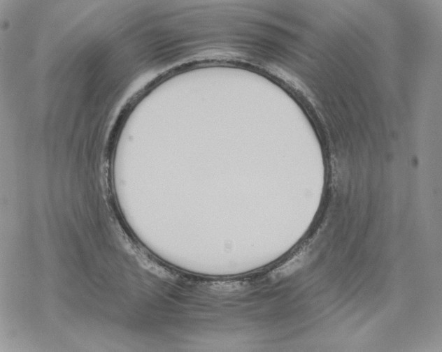 X0000069391029200606091711