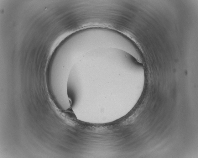 X0000069391030200606091711