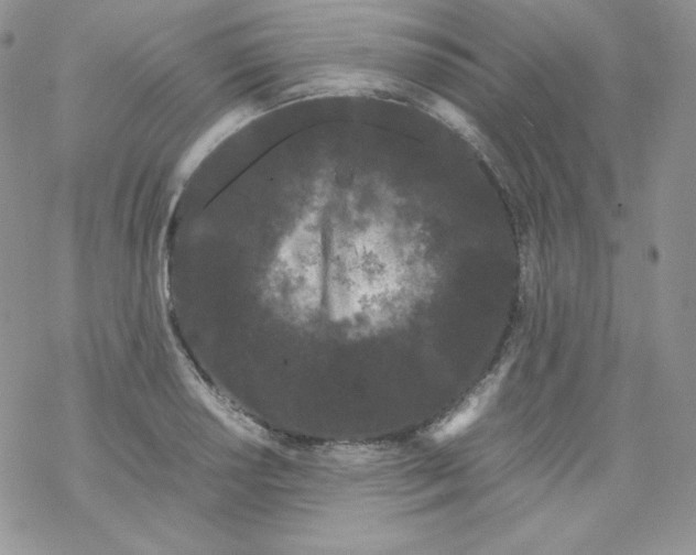 X0000069391034200606091711