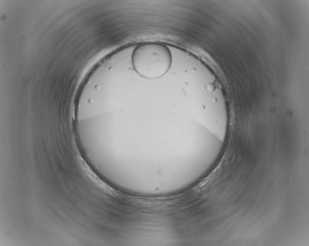 X0000069391036200606091711