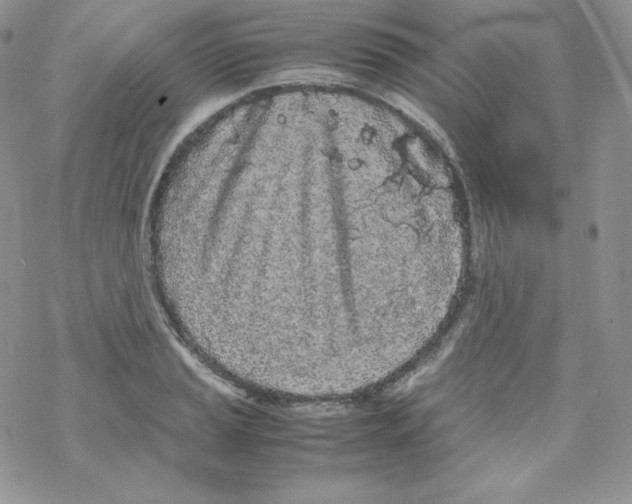 X0000069391037200606091711