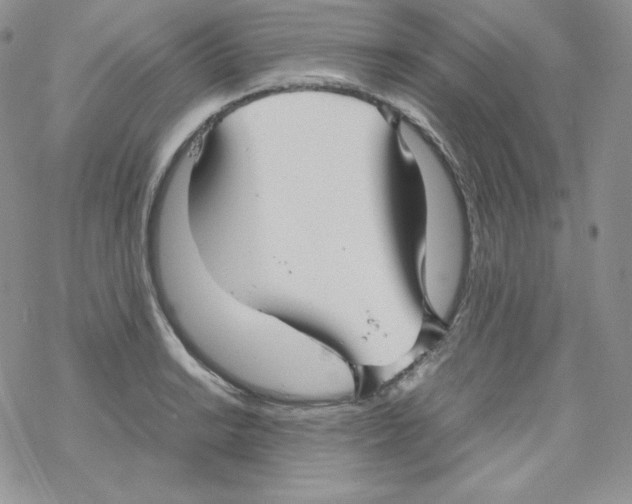 X0000069391038200606091711