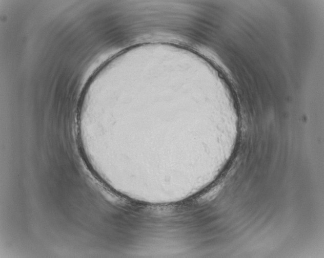 X0000069391040200606091711