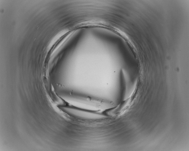 X0000069391042200606091711