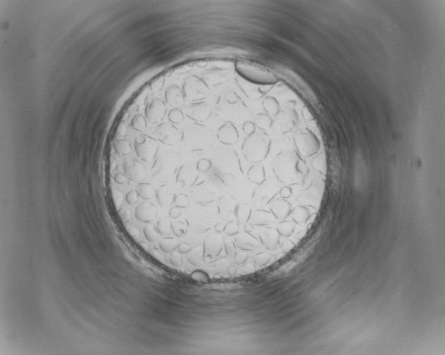 X0000069391044200606091711