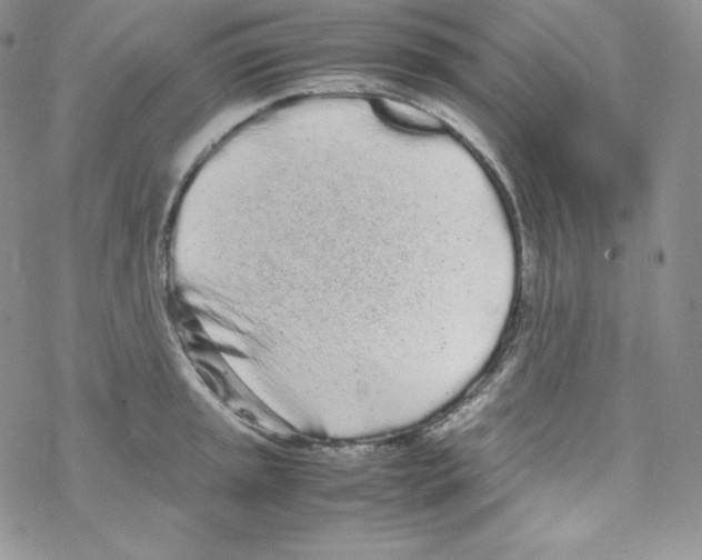 X0000069391045200606091711