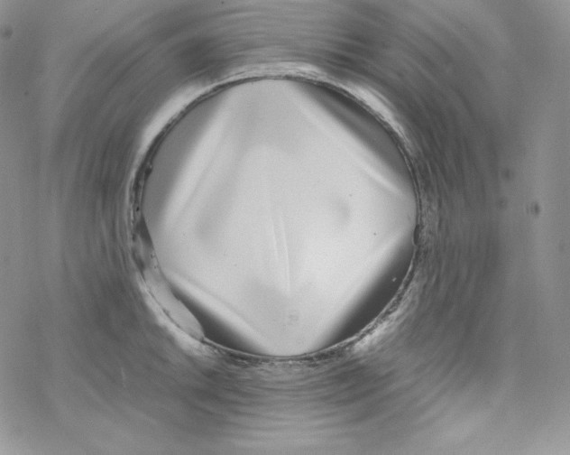 X0000069391046200606091712