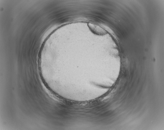 X0000069391047200606091712