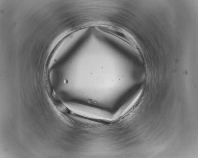 X0000069391050200606091712