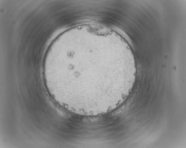 X0000069391051200606091712