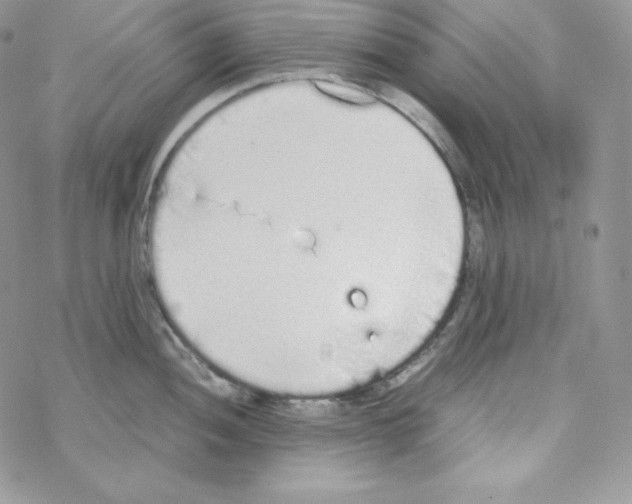 X0000069391052200606091712