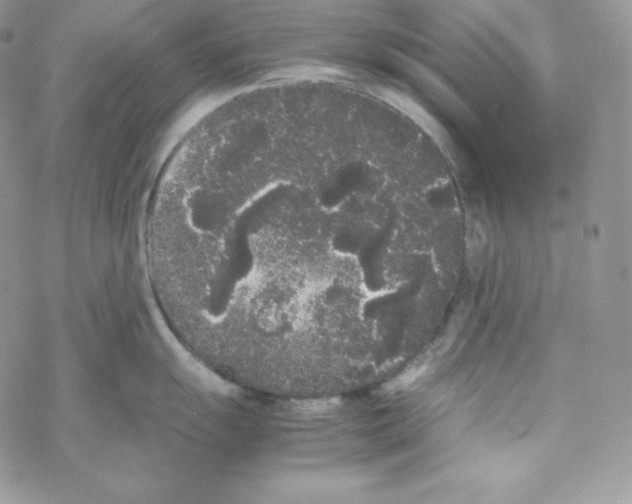 X0000069391055200606091712