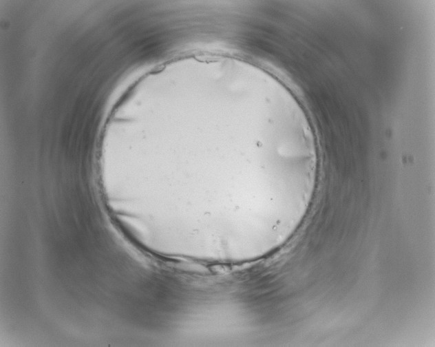 X0000069391056200606091712