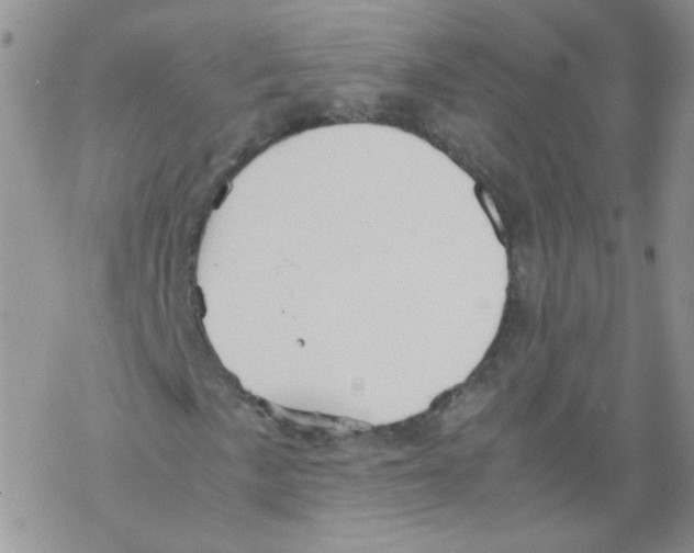 X0000069391057200606091711