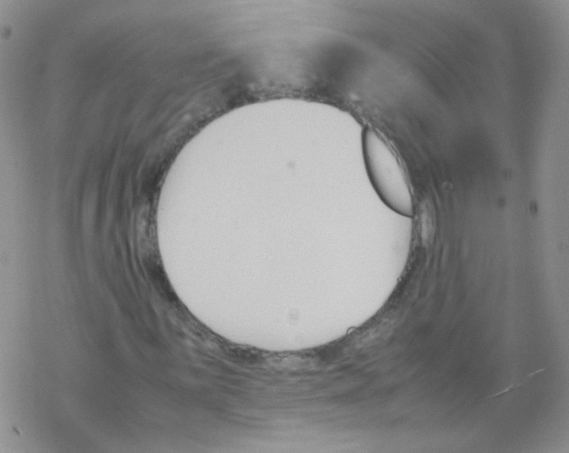 X0000069391059200606091711