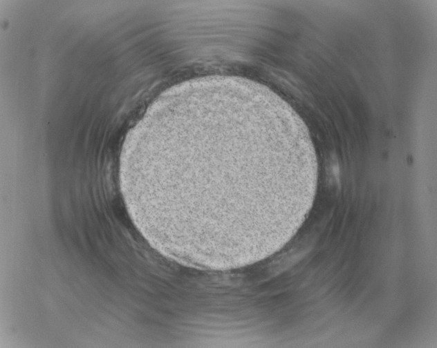 X0000069391060200606091711