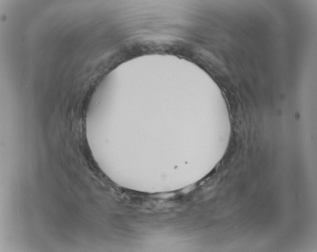 X0000069391061200606091711