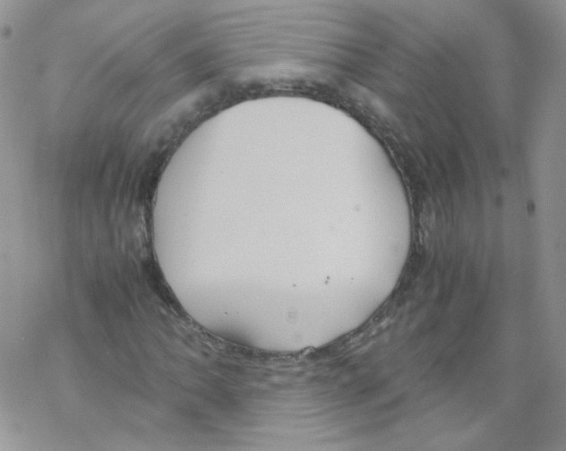 X0000069391062200606091711