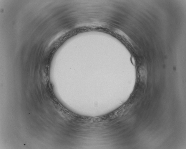 X0000069391064200606091711