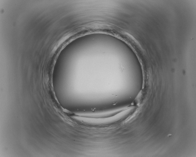 X0000069391065200606091711