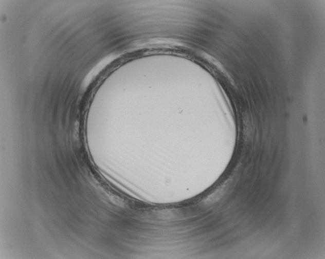 X0000069391066200606091711