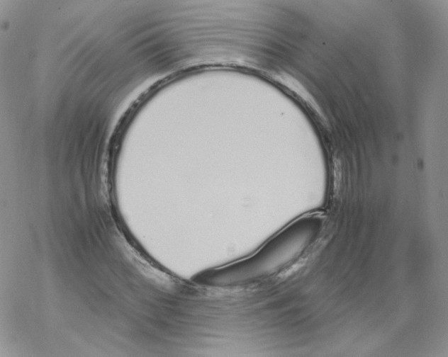 X0000069391068200606091711