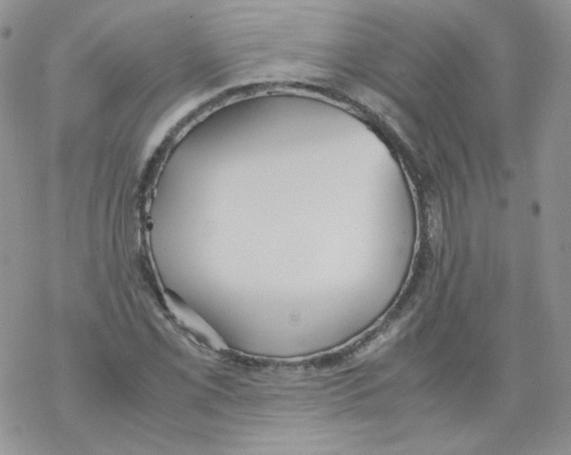 X0000069391069200606091711