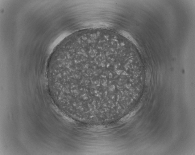 X0000069391071200606091711