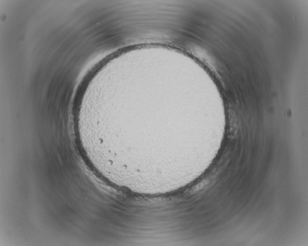 X0000069391072200606091711