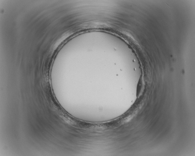 X0000069391073200606091711