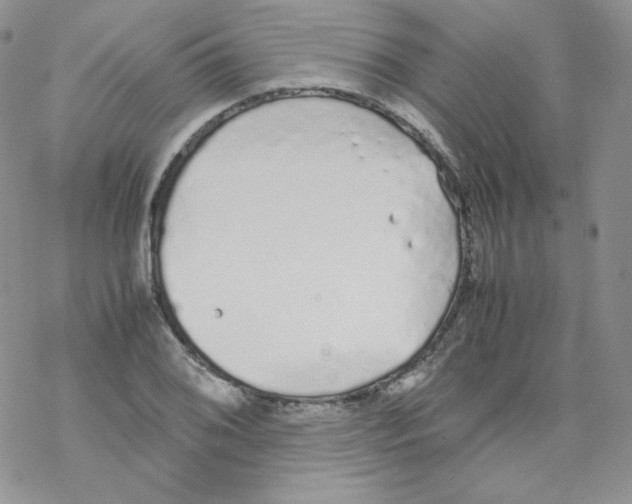 X0000069391076200606091711