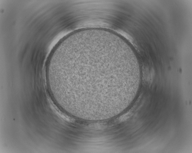 X0000069391078200606091711