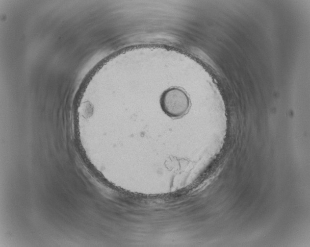 X0000069391079200606091711