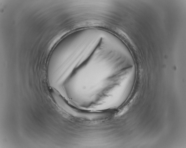 X0000069391081200606091711