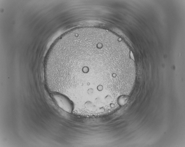 X0000069391083200606091710