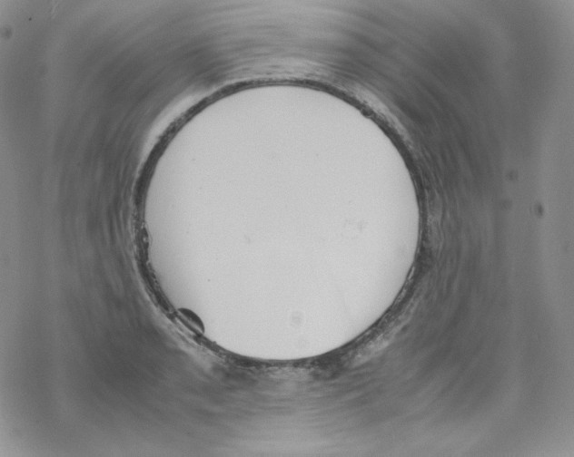 X0000069391085200606091710