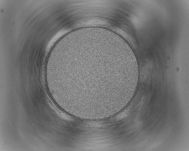 X0000069391086200606091710