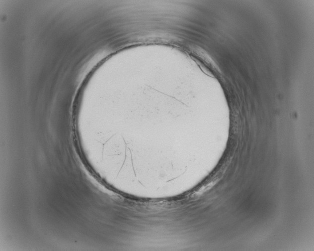 X0000069391087200606091710