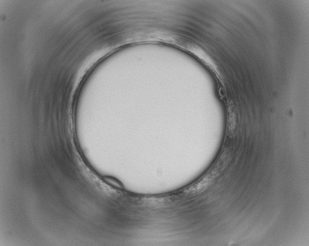 X0000069391088200606091710